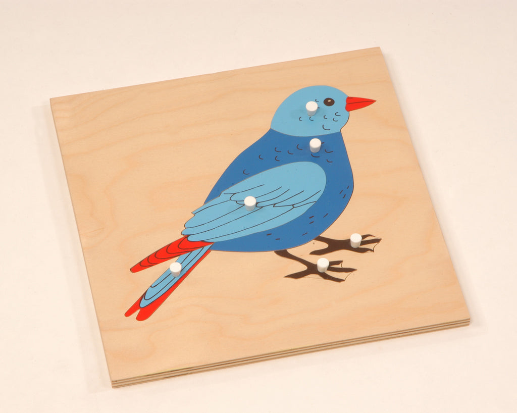 Alison's Montessori Materials, Imported, Botany, Premium Quality, Animal Puzzles - Bird