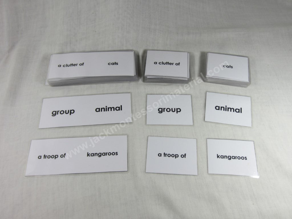 JACK Montessori Materials, Local, Biology, Premium Quality, Animals and their Groups