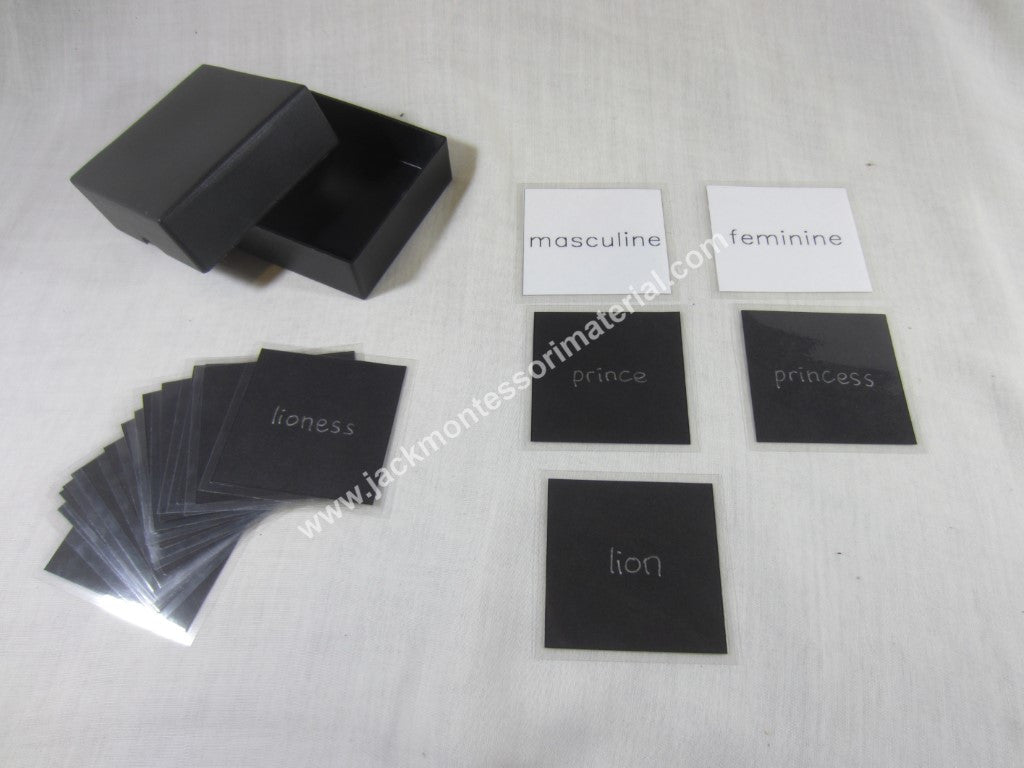 JACK Montessori Materials, Local, Language, Premium Quality, Nouns - masculine and feminine - box 2 (word cards) (Includes 1 Plastic Box)