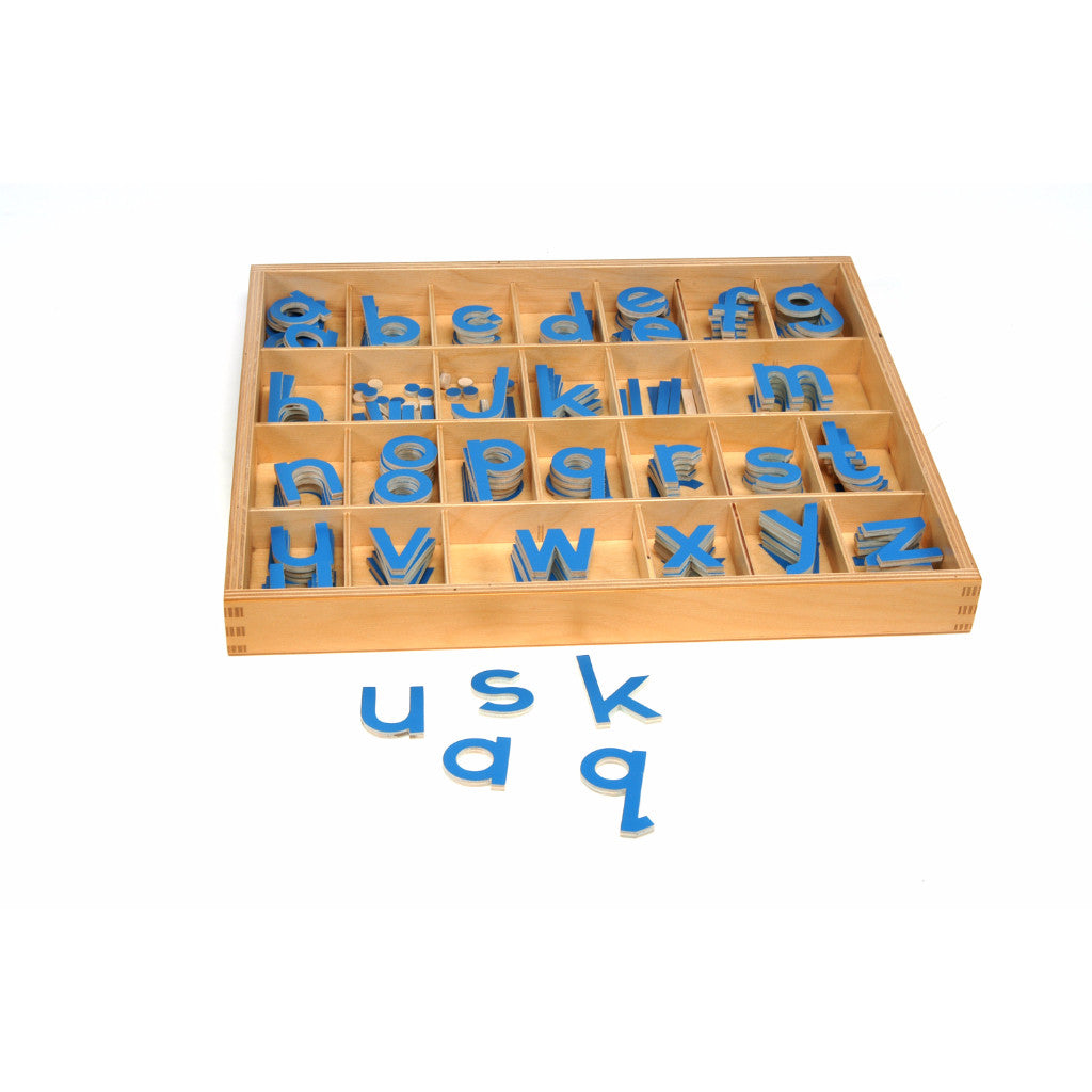 Alison's Montessori Materials, Imported, Language, Premium Quality, SMA Print: Blue alphabets in a box (5C/10V)