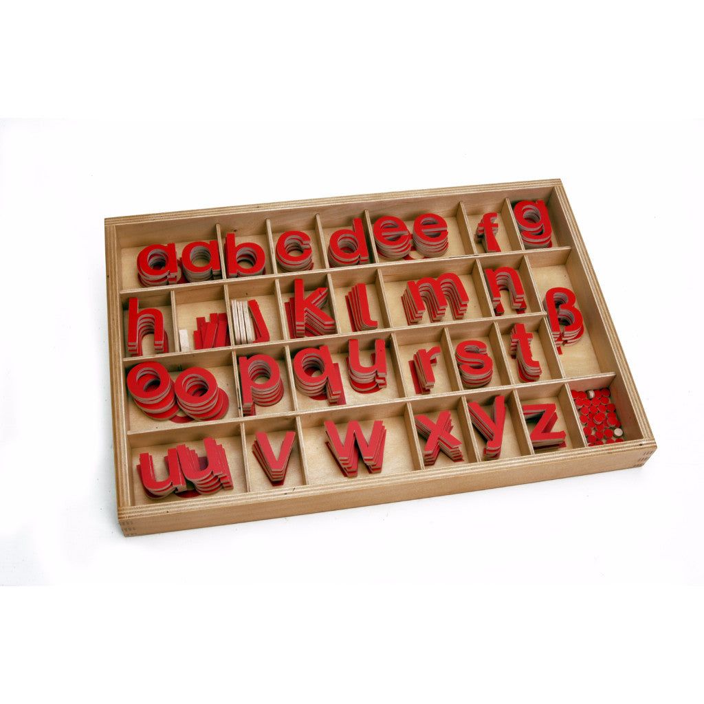 Alison's Montessori Materials, Imported, Language, Premium Quality, SMA Print: Red alphabets in a box (5C/10V)