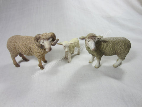 JACK Montessori Materials, Local, Biology, Premium Quality, Animal Families - Sheep