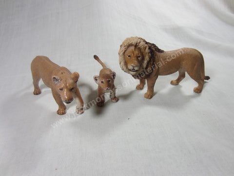 JACK Montessori Materials, Local, Biology, Premium Quality, Animal Families - Lion