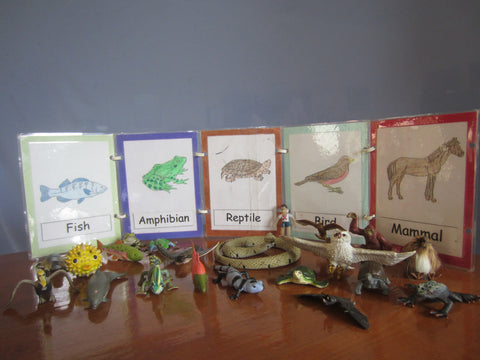 JACK Montessori Materials, Local, Biology, Premium Quality, Animal Kingdom I (objects and strip)