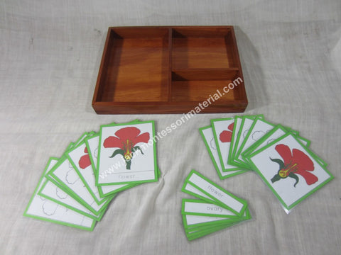 JACK Montessori Materials, Local, Biology, Premium Quality, Terminology Cards - Flower