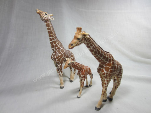 JACK Montessori Materials, Local, Biology, Premium Quality, Animal Families - Giraffe