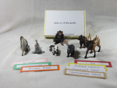 JACK Montessori Materials, Local, Geography, Premium Quality, Animals of the World (per set)